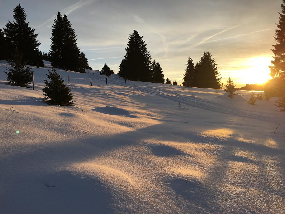 Schwarzwald-Hotel Kraeutle Feldberg  Esterno foto